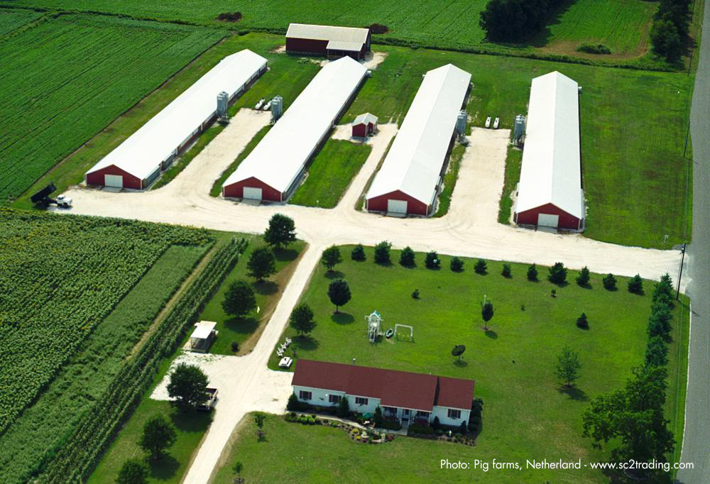 Pig Farms with Super Therm® Netherlands